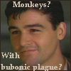 monkeyplague.jpg (3907 bytes)